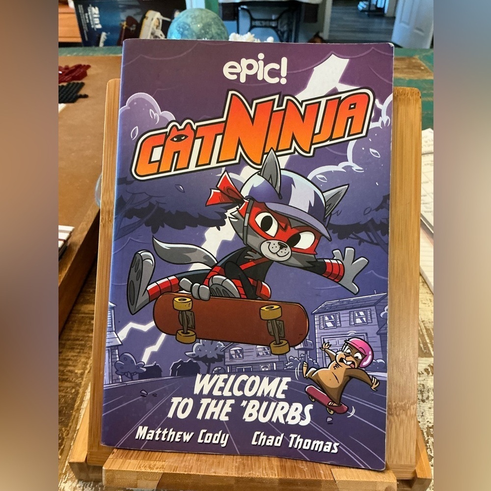 Cat Ninja Graphic